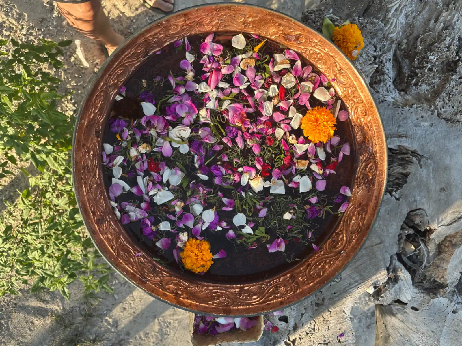 Copper bowl with flower petals viewed from above