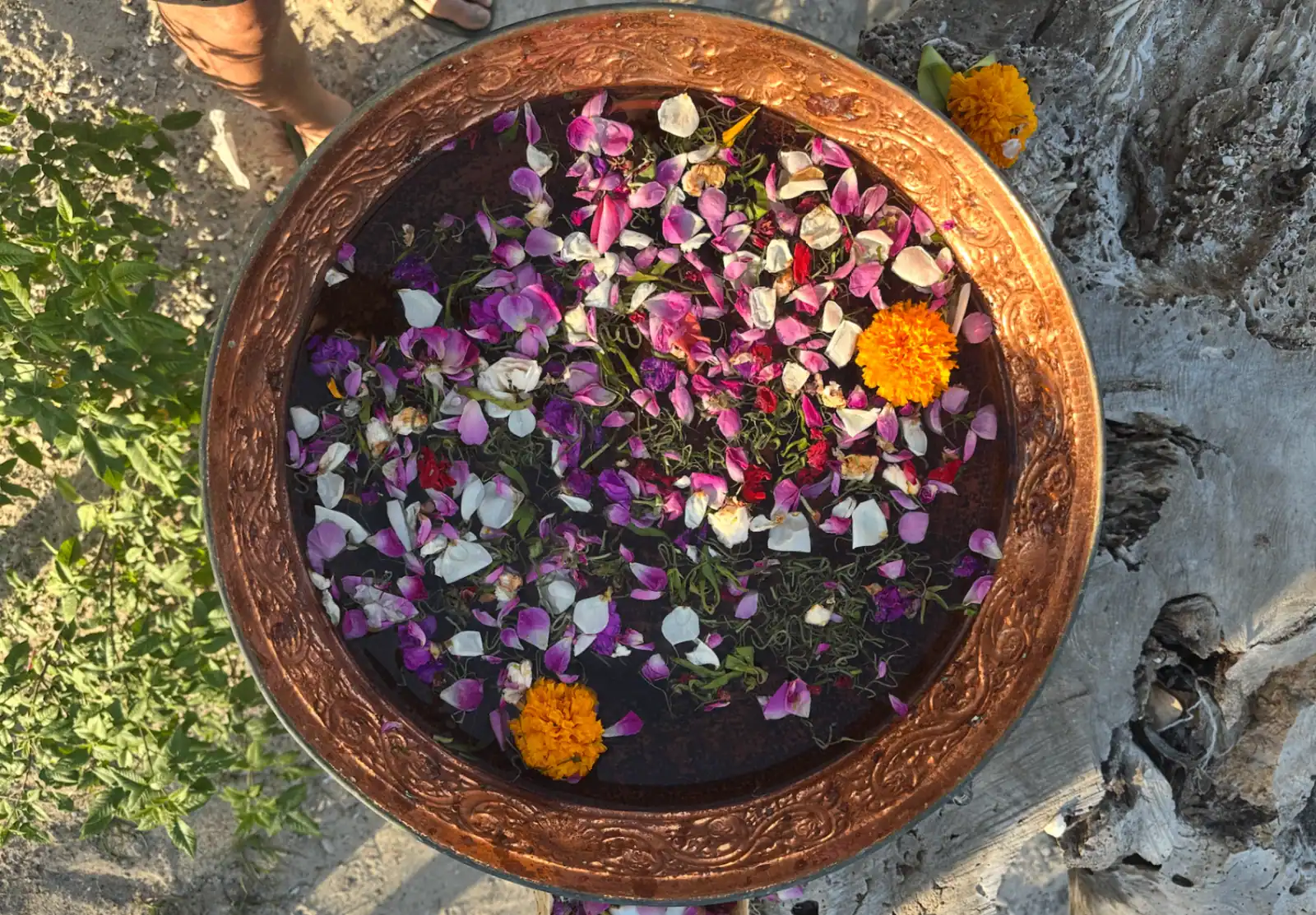 Traditional copper bowl with floating flower petals for mandi kembang ritual
